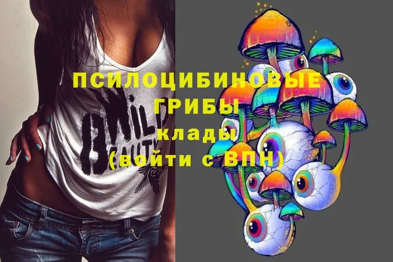 Галлюциногенные грибы Psilocybe  Калачинск 